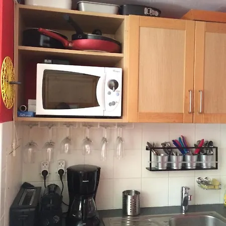 Duplex Skis Aux Pieds Belle Plagne